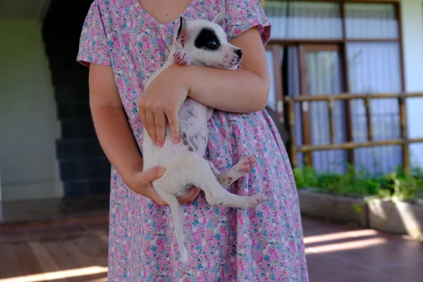 Uma menina segura um filhote de cachorro preto e branco em seus braços . — Fotografia de Stock