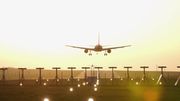 Avión Aterrizando Pista Del Aeropuerto Durante Puesta Del Sol Oro — Vídeo de stock