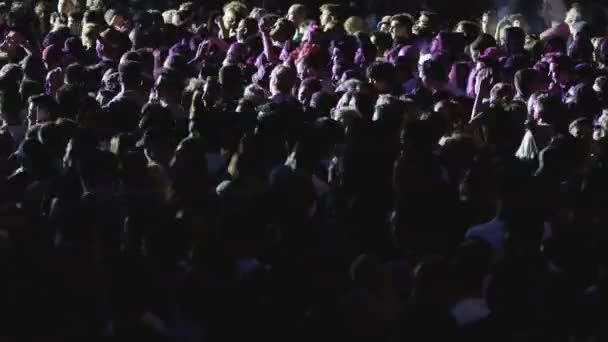 Foule Personnes Dansant Applaudissant Concert Festival Musique — Video