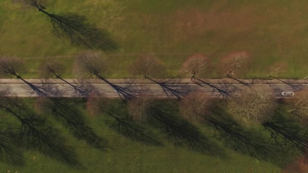 Toma Aérea Drone Hombre Caminando Largo Del Árbol Forrado Ruta — Vídeos de Stock