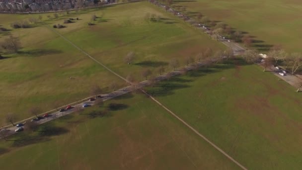 Drone Aéreo Tiro Carros Dirigindo Árvores Cênicas Alinhadas Estradas Parque — Vídeo de Stock