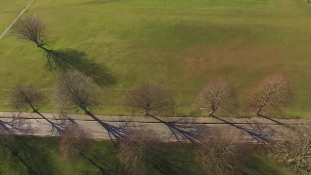 Aerial Drone Shot Cars Driving Scenic Tree Lined Road Park — Stock Video