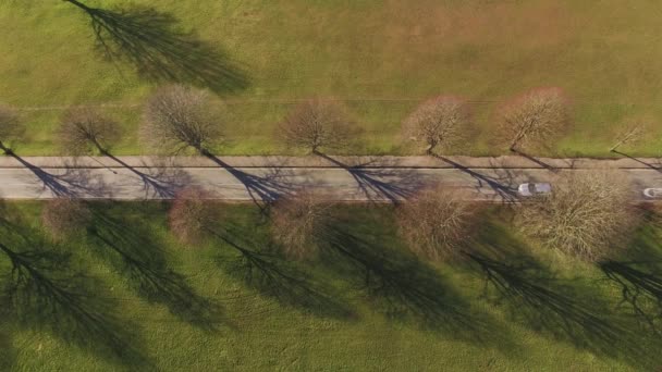 Drone Aéreos Tiro Coches Conducción Escénica Árbol Forrado Carretera Parque — Vídeos de Stock