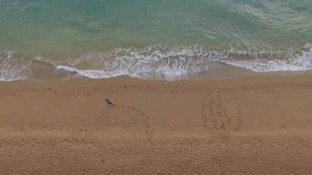 Вид Воздуха Человека Гуляющего Песчаному Пляжу Оставляющего Следы Песке Дрон — стоковое видео