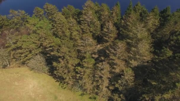 Aerial Drone Filmación Del Embalse Lago Rodeado Árboles Páramos Embalse — Vídeos de Stock