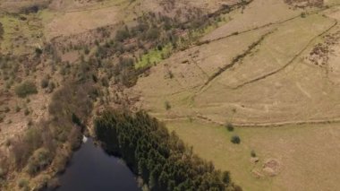 Baraj gölünün hava dron görüntüleri / Lake çevrili ağaçlar ve Moorland, Venford depo, Dartmoor Milli Parkı