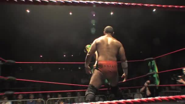 Professional Wrestling Match Sequence Featuring Acrobatic Lucha Libre Moves — Videoclip de stoc