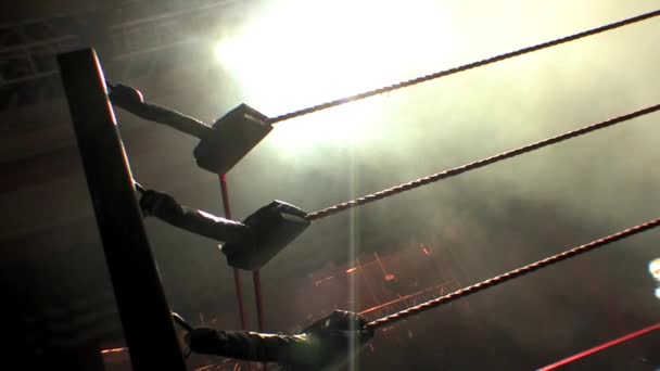 Pro Wrestling Ring Touwen Hoek Turnbuckle Silhouet Verlicht Met Achtergrondverlichting — Stockvideo