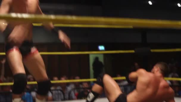 Pro Wrestling Match Sequence Correr Las Cuerdas — Vídeo de stock