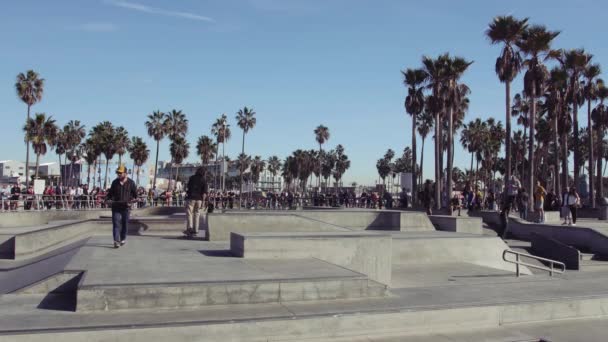 Venice Beach Skate Park Los Angeles Kaliforniya Abd — Stok video