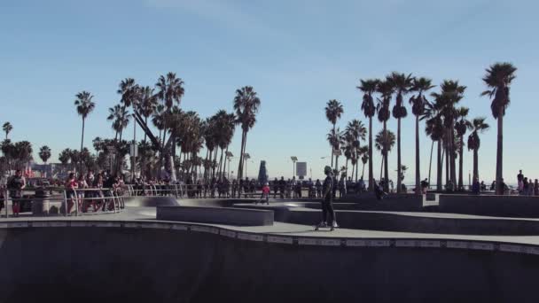 Venice Beach Skate Park Los Angeles Califórnia Eua — Vídeo de Stock