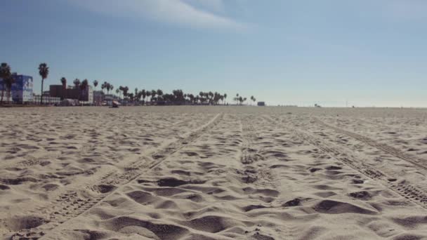 Venice Beach Λος Άντζελες Καλιφόρνια Ηπα — Αρχείο Βίντεο