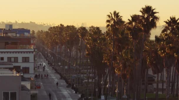 Venedig Strandpromenade Bei Sonnenaufgang Palmen Gebäude Luftaufnahme — Stockvideo