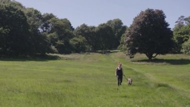 Mutlu genç kadın ağır çekimde çayır köpek ile çalışan / Park