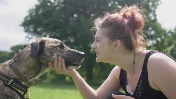 Krásná šťastná mladá žena hladí její milující  věrné Pet pes v parku