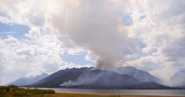 Naturlig Skogsbrand Orsakade Blixtnedslag Grand Teton National Park Wyoming — Stockvideo