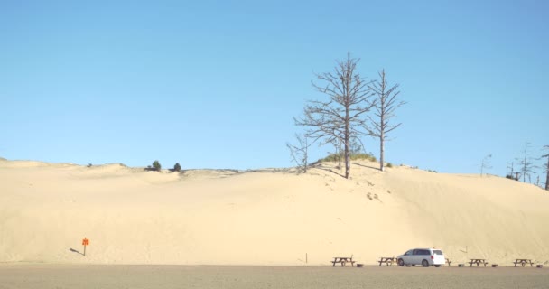 Campeggio Auto Enormi Dune Sabbia Oregon Dunes — Video Stock