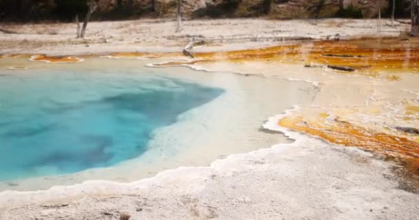 Bright Blue Surface Boiling Geyser Yellowstone National Park — Stock Video