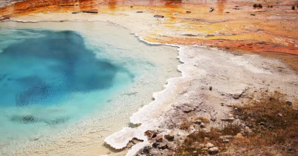 Bright Blue Surface Boiling Geyser Yellowstone National Park — Stock Video