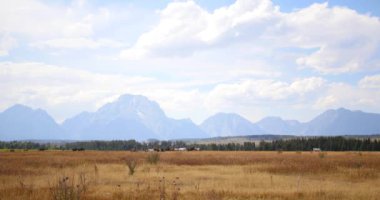 Vahşi atlar Golden ovaları, Grand Teton Milli Parkı, Wyoming dolaşım