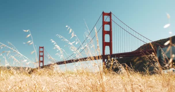 Golden Gate Bridge Krajina Travnaté Louce — Stock video