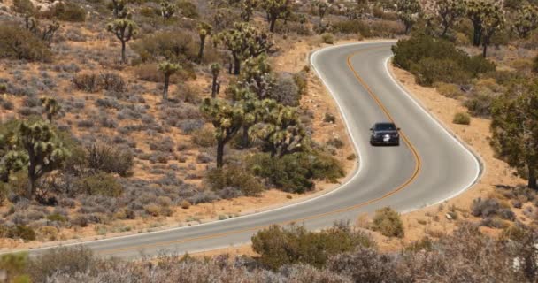 汽车驾驶在加利福尼亚风景沙漠高速公路驾驶 风景风景 — 图库视频影像