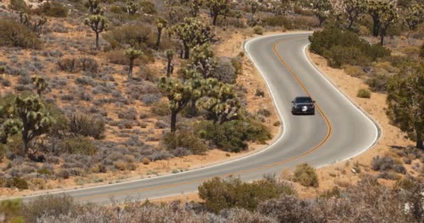 Bil Som Kör Kalifornien Natursköna Desert Highway Drive Naturskönt Landskap — Stockvideo