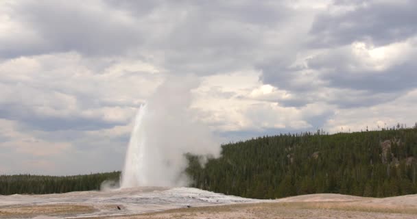 Old Faithful Geiser Tot Uitbarsting Het Nationaal Park Yellowstone — Stockvideo