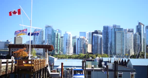 Canadian Flag Flying Stanley Park Vancouver Skyscrapers Cityscape — Stock Video