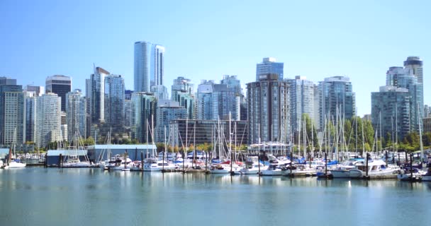 Downtown Vancouver Cityscape Buildings Skyscrapers Boats Harbour — Stock Video