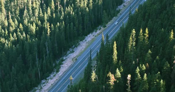 Köra Vackra Natursköna Motorväg Genom Berget Skog Hög Vinkel — Stockvideo