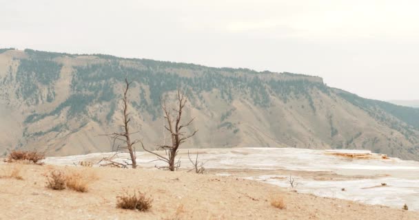 Mammut Thermalquellen Yellowstone Nationalpark Ätherische Landschaft — Stockvideo
