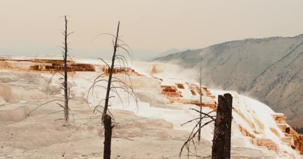 Mammoth Hot Springs Yellowstone National Park Ethereal Landscape — Stock Video