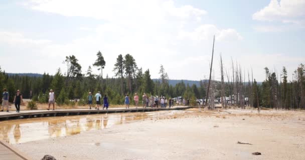 Touristen Spazieren Zwischen Geysiren Yellowstone Nationalpark — Stockvideo