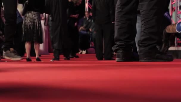 Celebrities Walking Red Carpet Close Feet — Stock Video