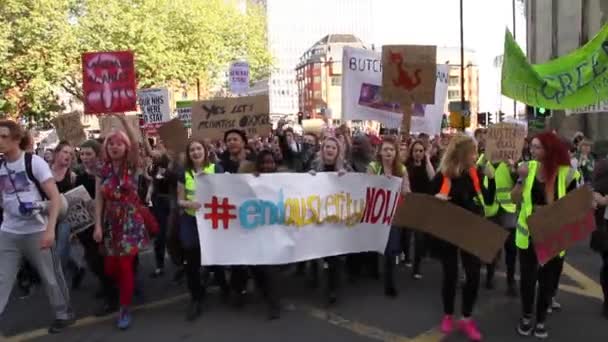 Protest Zingen Tegen Conservatieve Regering Bezuinigingen Nhs Gezondheidszorg Bristol 2015 — Stockvideo