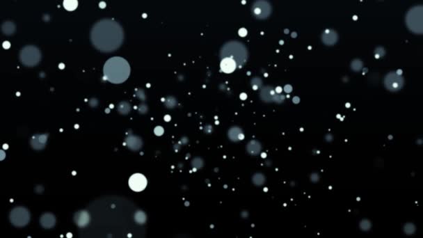 Фон Текстура Moving Particles Spheres White Bubbles Animation Black — стоковое видео