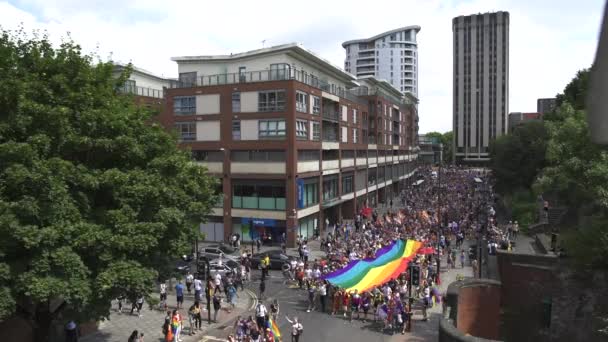 Desfile Del Orgullo Marchando Con Bandera Del Arco Iris Lgbt — Vídeos de Stock