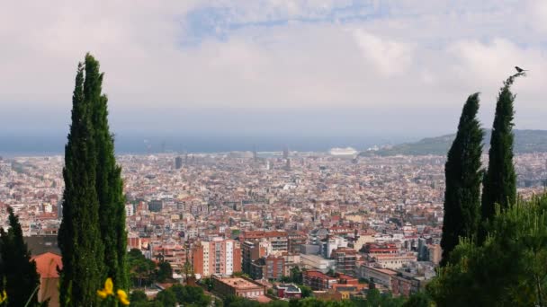 Spanish City Barcelona Skyline Cityscape Scenic Aerial — Stock Video