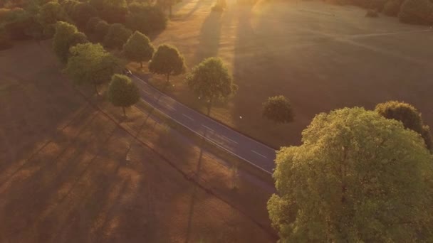 Carros Dirigindo Estrada Através Campo Nascer Sol Hora Dourada — Vídeo de Stock