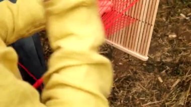 Kadın elleri ahşap sopa eski Rus yöntemi ni kullanarak yün iplikörgü