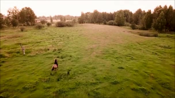 Menina monta um cavalo na grama verde no campo — Vídeo de Stock