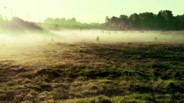 Gün doğumunda sis güneşin parıltısında oynar. Quadrocopter alanı üzerinde span