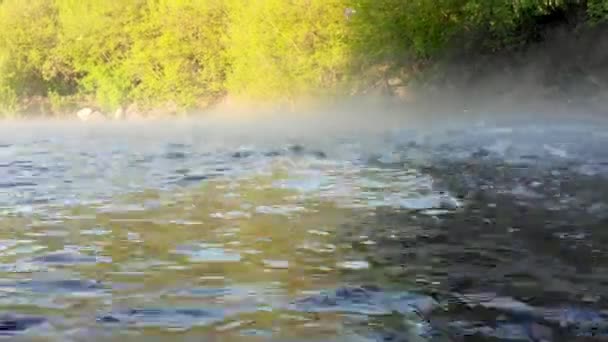 Вода в реке быстро течёт сквозь скалы. Ранним солнечным утром — стоковое видео