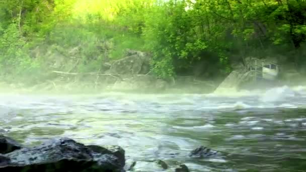 El agua en el río corre rápidamente a través de las rocas. Mañana soleada temprano — Vídeo de stock