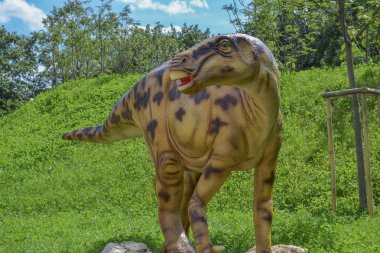 Baskılar için web siteleri, makaleler ve sunumlar için hayvanat bahçesi parkında Dinozor