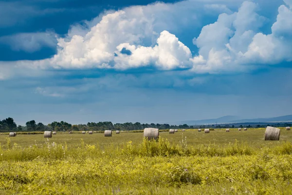 Balle Foin Sur Prairie Avec Ciel Bleu Collines Paysage Agricole — Photo