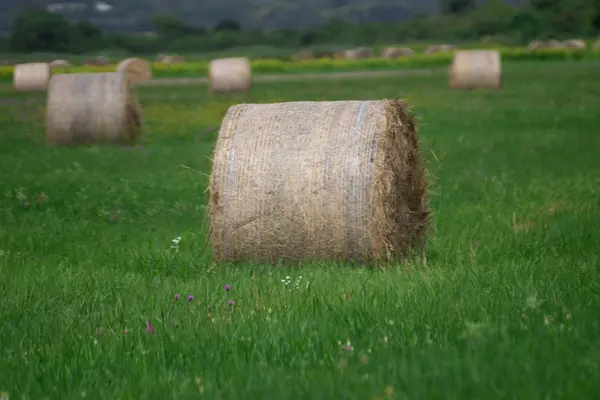 Balle Foin Sur Prairie Avec Ciel Bleu Collines Paysage Agricole — Photo