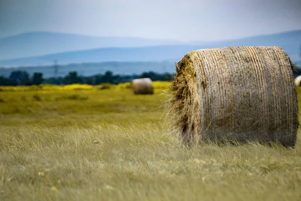 Balle Foin Sur Prairie Avec Ciel Bleu Collines Paysage Agricole — Photo