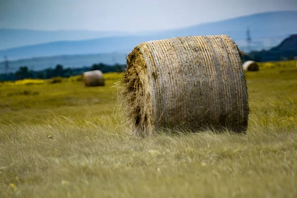 Paca Heno Prado Con Cielo Azul Colinas Paisaje Agrícola — Foto de Stock